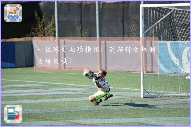 一位球员七项指控：英超转会机制为何失误？