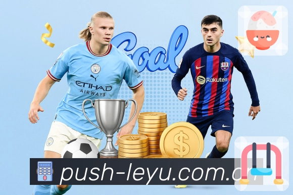 安全保障执行步骤